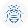 Bed Bug Extermination In Mirfield