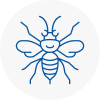 Mirfield Hornet Nest Removals