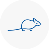 Mice Exterminators In Mirfield