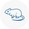 Rat Control Mirfield