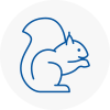 Mirfield Rodent Removals