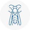 Mirfield Wasp Nest Removal